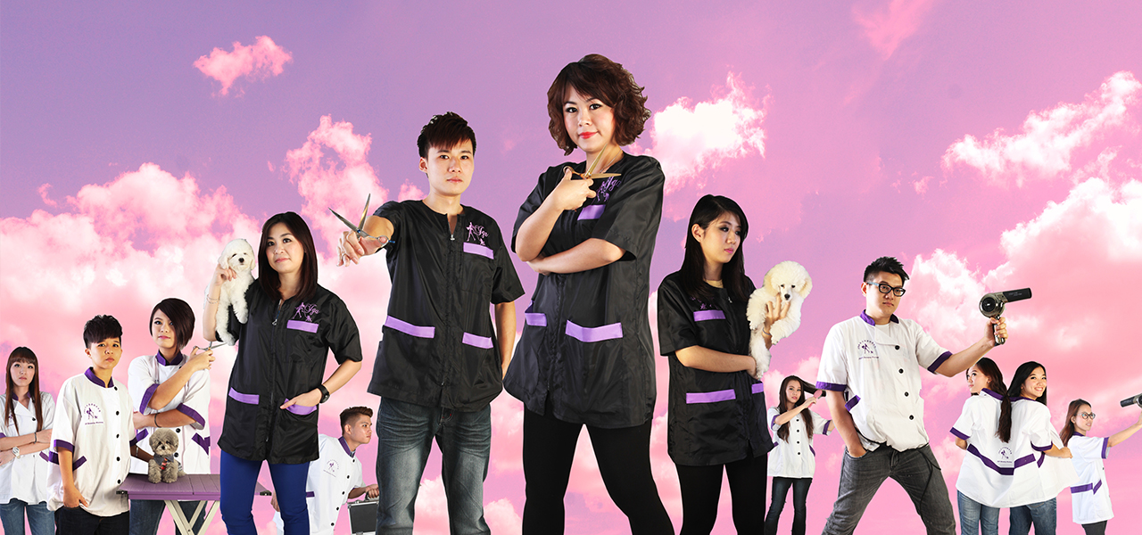 Professional Pet Grooming School In Malaysia JGA Grooming Academy