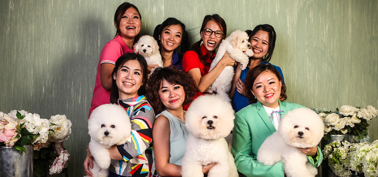Professional Pet Grooming School In Malaysia JGA Grooming Academy